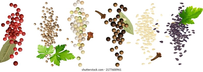 the composition of handfuls, mounds of multicolored black, red and white pepper, coriander and sesame seeds, bay leaf and coriander leaves, cloves. Vector realistic drawing, without background.