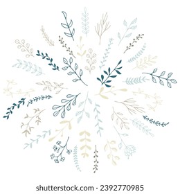 composition of herbs flower delicate color