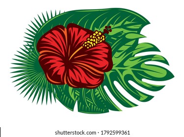 Composition of hibiscus flower and various palm leaves. Vector color illustration isolated on white background.