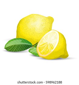 Composition with high detailed citrus. Vector illustration with sliced lemon and green leaves