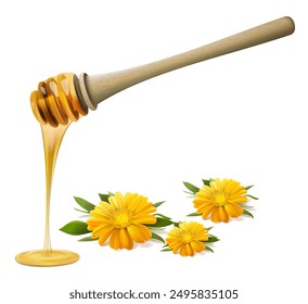 composition with honey spoon and flowers. Vector illustration