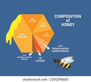 Zusammensetzung von Honig, Wax, Nectar, Bienenvenom-2d-Vektorgrafik-Konzept für Banner, Website, Landungsseite, Flyer usw.