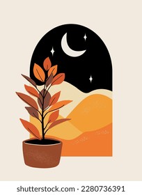 Composition of Houseplant in the interior in flowerpot. Landscape with desert at night. Vector illustration