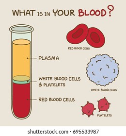 Resultado de imagen de blood cells kids