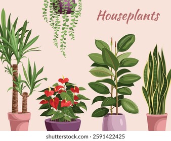 Composition of indoor plants on a pastel background, isolated vector illustration