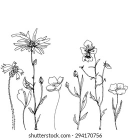 composition with ink drawing daisy flowers, doodle wild plants, monochrome black floral card, hand drawn vector illustration