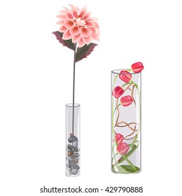 Composition for the interior, flowers of pink Dahlia and tulips. Vector illustration.