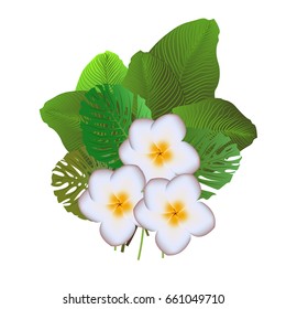 Composition of leaves of tropical plants and white flowers of plumeria. Summer. Can be used in the newsletter, brochures, postcards, banners.