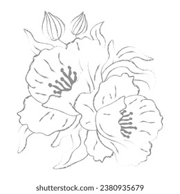 composition of leaves and two flowers linear hand drawing vector