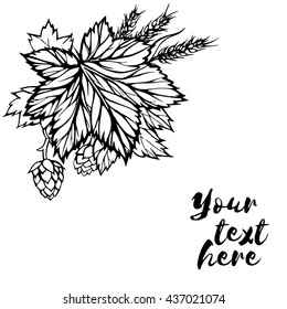 Composition of leaves and wheat/Hand drawing black and white vector image in the sketch style. Ear of cereal, flowers of the hop