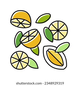 composition lemon color icon vector. composition lemon sign. isolated symbol illustration