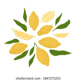 Zusammensetzung aus Zitrone und Blattwerk auf weißem Hintergrund. Abstrakte botanische Skizze handgezeichnet in Stil doodle Vektorgrafik.