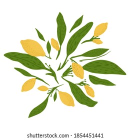 Zusammensetzung aus Zitrone, Zweigen und Blattwerk auf weißem Hintergrund. Abstrakte botanische Skizze handgezeichnet in Stil doodle Vektorgrafik.