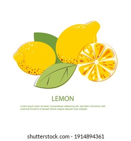 Composition of lemons with green leafs. Lemon cut and whole lemon. Flat vector illustration.