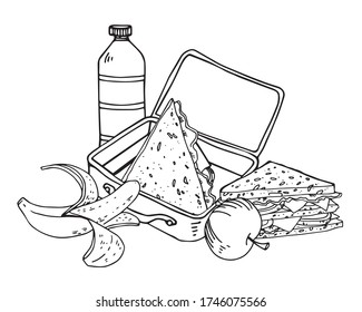 Composition with luncbox, sandwiches, fruits and bottle of water. Hand drawn vector sketch outline illustration