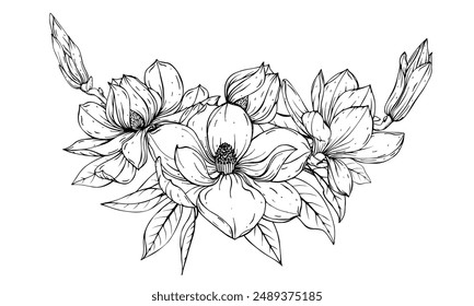 Composition of magnolia flowers. Sketch using black and white lines.
