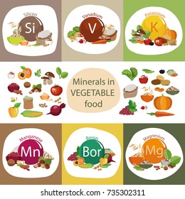 Composition Minerals Organic Plant Products Healthy Stock Vector ...