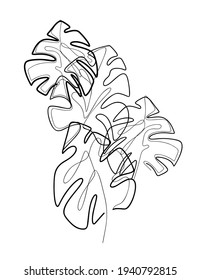 Composition From Monoline Leaves Of Monstera. Contour Tropical Foliage. Black And White Contour Trendy Bush. Delicate Illustration For Print. Gentle Sketch Tattoo