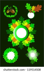 composition of oak elements, oak leaves, Icons of oak leaves,