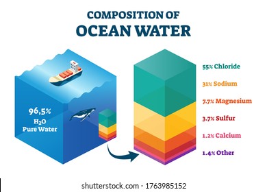 Composition of ocean water vector illustration. Labeled structural educational scheme with cross section percentage graphic. Sea liquid mixture chemical description with chloride, sodium and magnesium