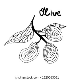 Composition of olives with olive branches. Template for the design of Italian cuisine or packaging of food products, cosmetics with the addition of natural oil. Hand drawn. Vector.