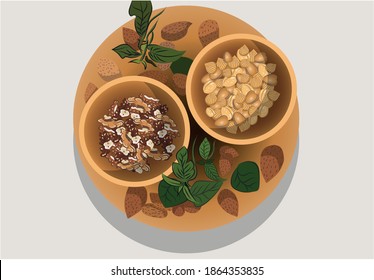 Composition of one plate and two boils filled with various nuts. Almonds, Walnuts, hazelnuts. Vector