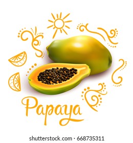 Composition from orange doodles around 3d papaya with flourishes and citrus fruit on white background vector illustration