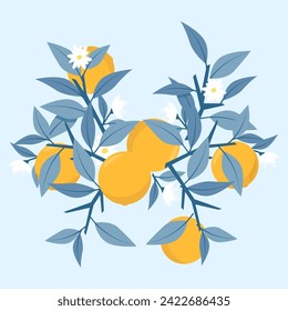 Composición de naranjas y ramas azules