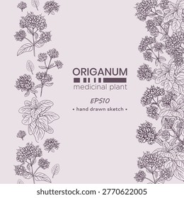Composition of Oregano plant elements, aromatic spice and medicinal plant. Hand drawn line drawing. Vector illustration