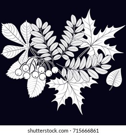 composition from the outline of autumn leaves on a blue background