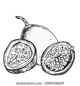 Composición de frutos de pasión, ilustración de maracuja cortada aislada en blanco. vector dibujado a mano por maracuya entero. Elemento de diseño para envoltura, menú, suavidades, helado, ingrediente, vajilla