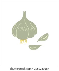Composición con tejidos de ajo pelado y bombillas enteras frescas y crudas de verduras aromáticas. Ilustración vectorial coloreada y realista a mano de alimentos aromáticos aislados en fondo blanco