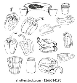 Composition of peppers  and other  hand drawn objects. Monochrome. Hand drawn ink sketch isolated on white background. Vector illustration.