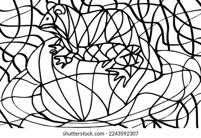 Composition picture of a frog