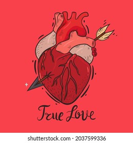 Composition with a pierced heart and the inscription true love. Vector graphics.