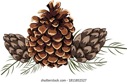 Composition of pine cones and spiky leaves. Autumn thematics. Vector