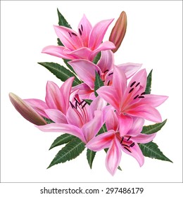 composition of pink flowers and green leaves lilies. isolated.