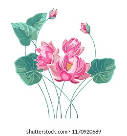 Composition of pink lotus flower with green leaves in hand drawn style pastel colors.Vector lily, waterlily isolated on white background