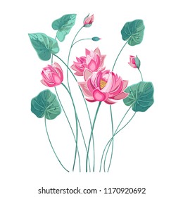 Composition of pink lotus flower with green leaves in hand drawn style pastel colors.Vector lily, waterlily isolated on white background