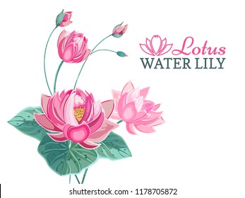 Composition of pink lotus flower with green leaves in hand drawn style pastel colors.Vector lily, waterlily isolated on white background