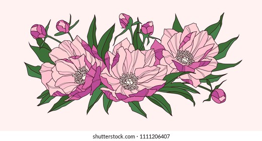 Composition of pink peony flowers. Vector illustration