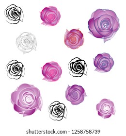Composition from pink roses.