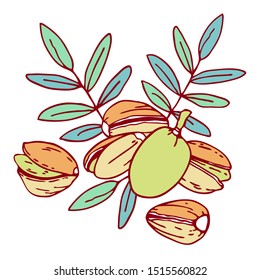Composition with pistachio nuts and leaves. Hand drawn outline vector sketch illustration. Color on white background