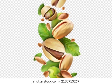 Composition of pistachios and green leaves. Vector illustration on a transparent background.