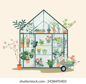 Composition with plants growing in pots or planters inside glass greenhouse. Vector flat illustration with cute orangery or botanical garden. Colored concept of home gardening Vector flat illustration