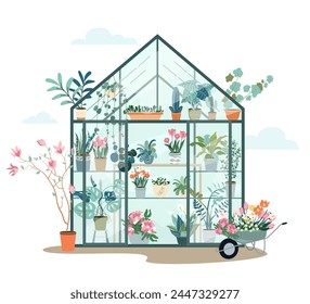 Composition with plants growing in pots or planters inside glass greenhouse. Vector flat illustration with cute orangery or botanical garden. Colored concept of home gardening Vector flat illustration