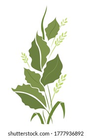 Composition of plants in pale colors