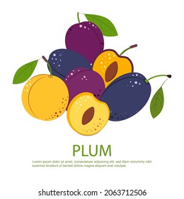 Composition of Plum Berry Whole and Cut One. Ripe juicy Berries with Green Leaves. Plum for jam and dessert. Flat style Vector Illustration.