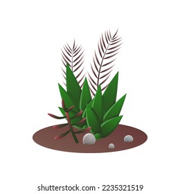 Composition of pointy succulents in ground of pot. Vector illustration of tropical house plants for interior decor. Cartoon cacti for indoor home garden isolated on white. Terrarium, nature concept