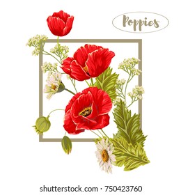 Composition with poppies and chamomiles. Vector illustration.